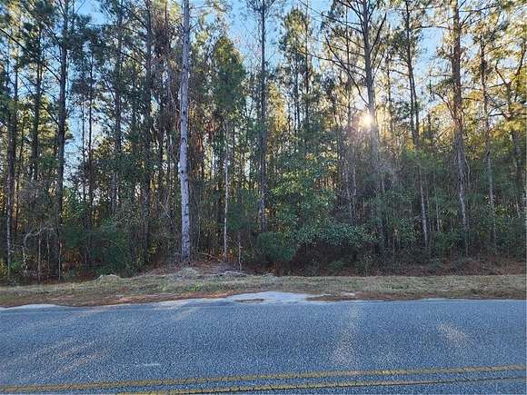 4.56 Acres of Land for Sale in Brunswick, Georgia