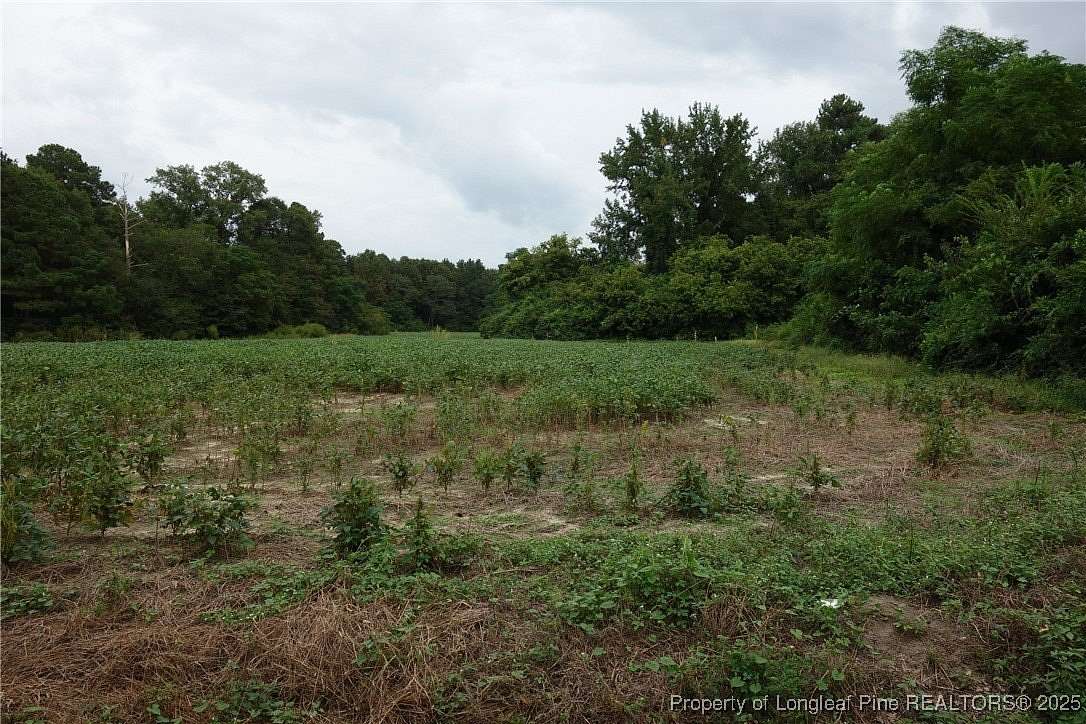 8.97 Acres of Residential Land for Sale in Laurinburg, North Carolina