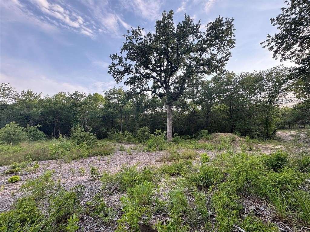 4.13 Acres of Residential Land for Sale in Nemo, Texas