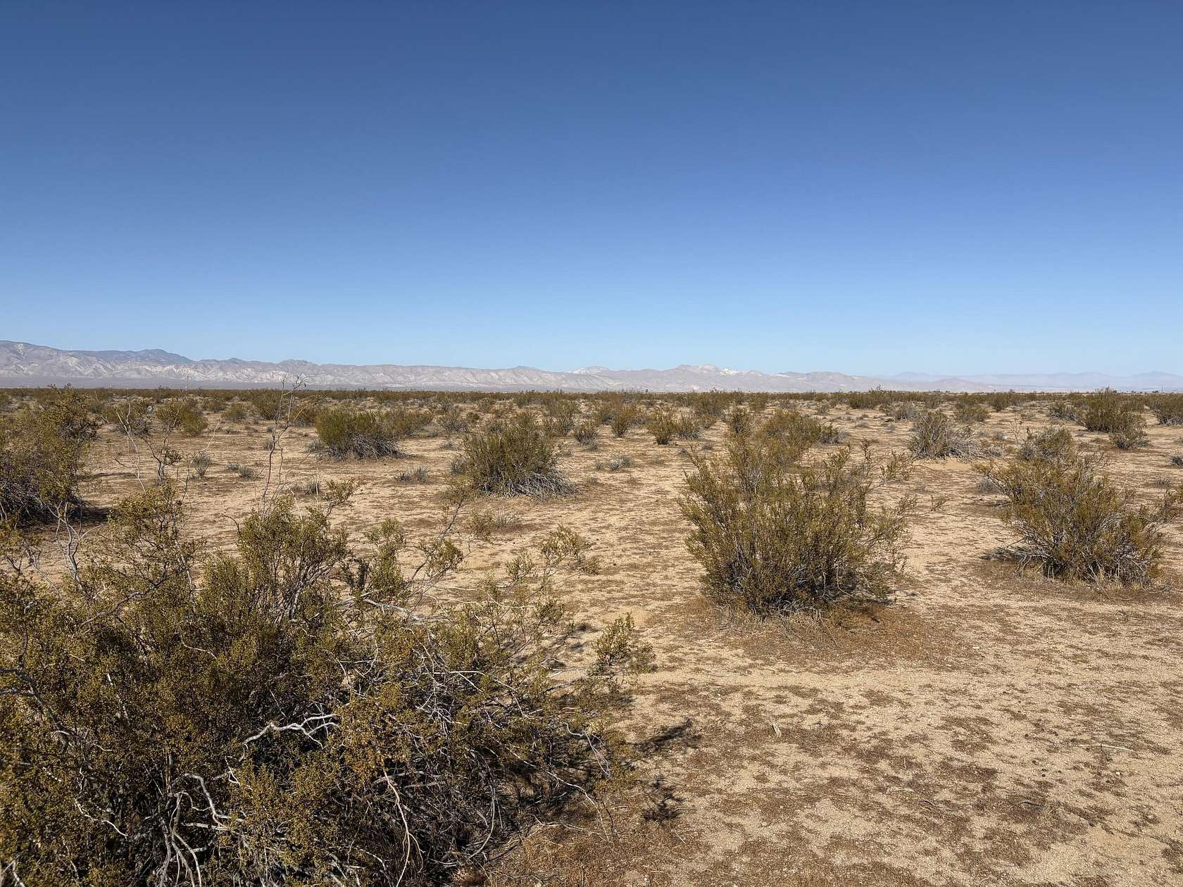 Land for Sale in California City, California