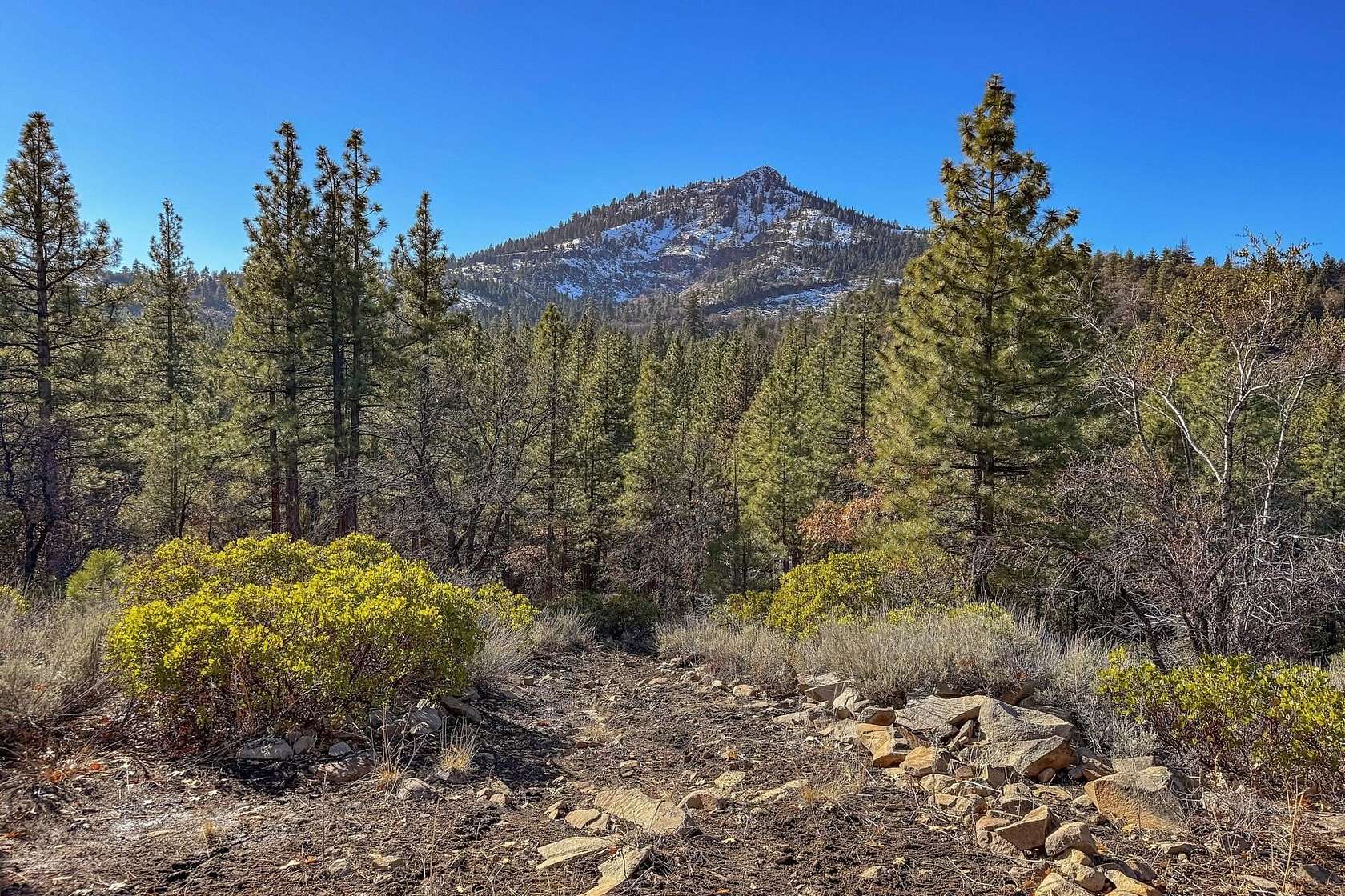 91.6 Acres of Land for Sale in Beckwourth, California