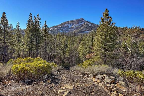 91.57 Acres of Recreational Land & Farm for Sale in Beckwourth, California