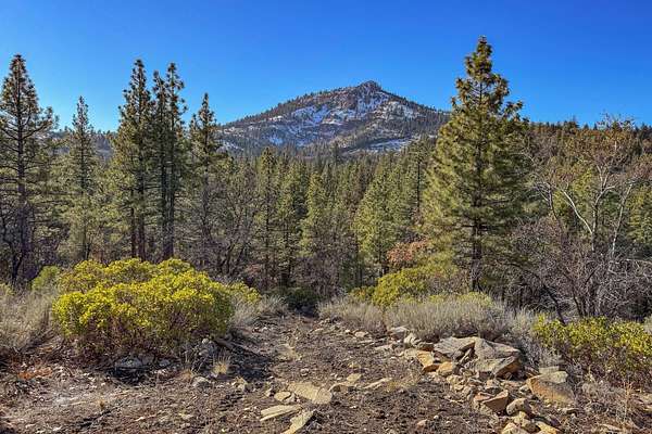 91.6 Acres of Land for Sale in Beckwourth, California
