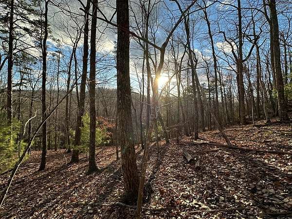 1.16 Acres of Mixed-Use Land for Sale in Morganton, Georgia