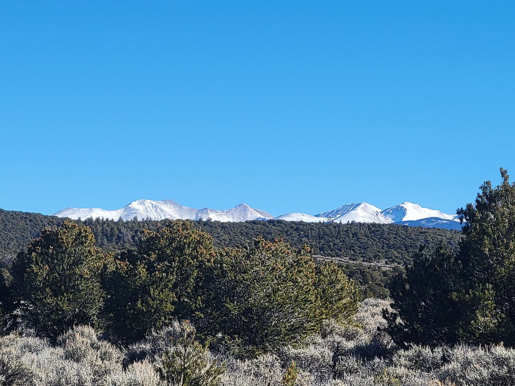 35.1 Acres of Land for Sale in San Luis, Colorado