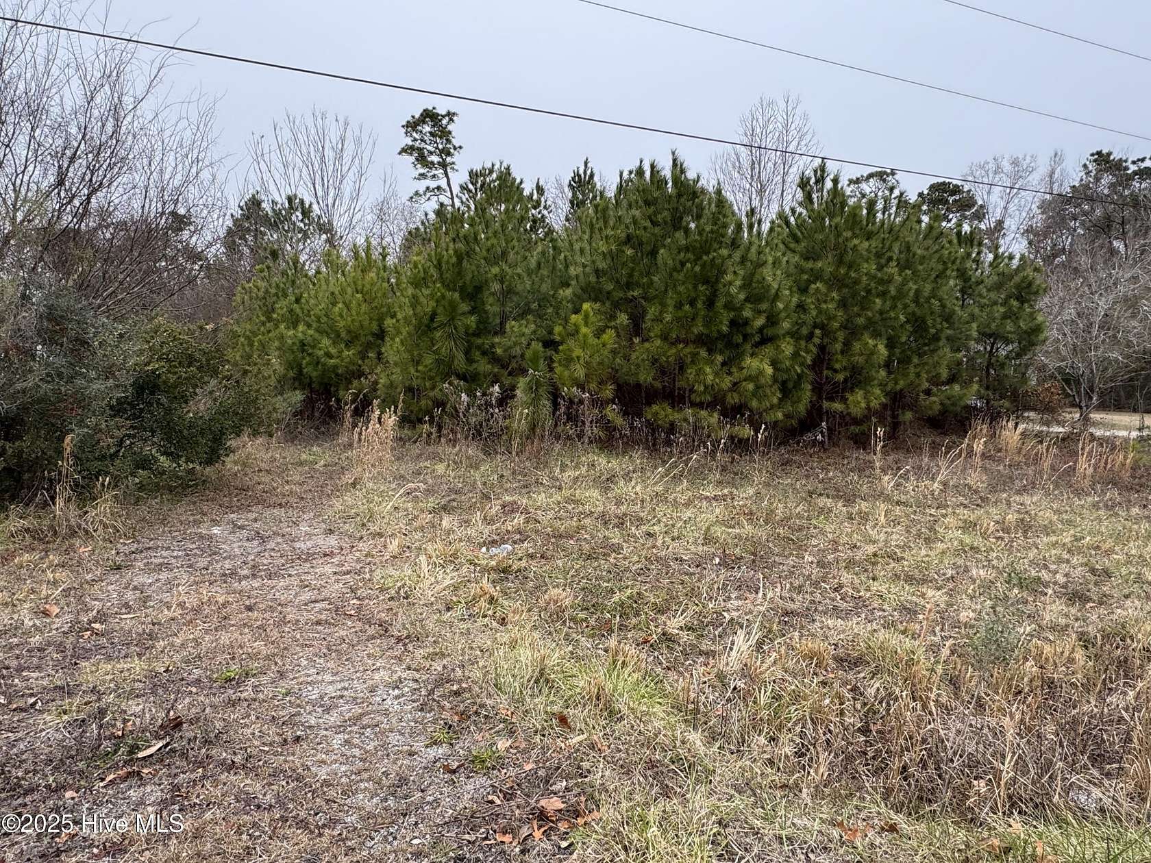 0.49 Acres of Land for Sale in Wilmington, North Carolina