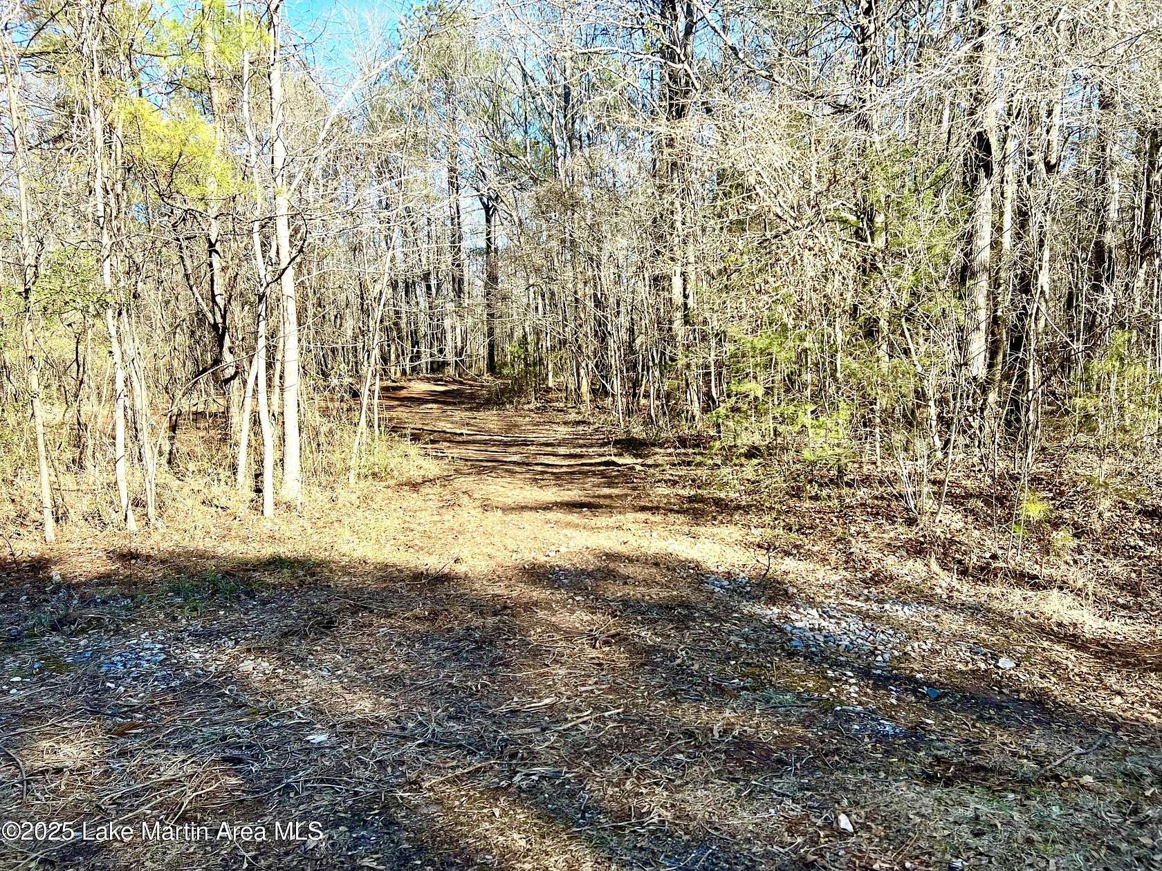 5.34 Acres of Residential Land for Sale in Goodwater, Alabama