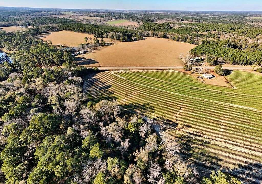 43.1 Acres of Recreational Land for Sale in Whigham, Georgia