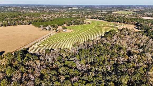 43.14 Acres of Recreational Land for Sale in Whigham, Georgia