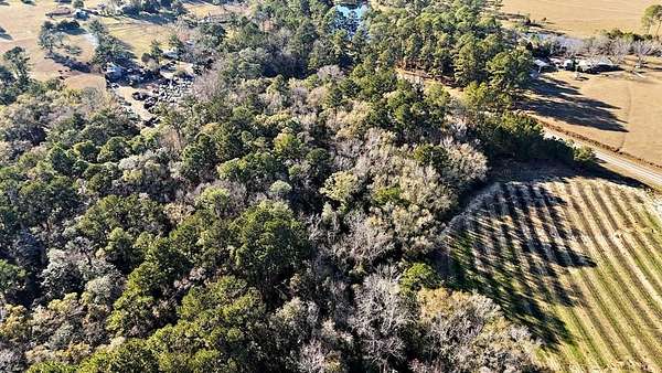 43.1 Acres of Recreational Land for Sale in Whigham, Georgia