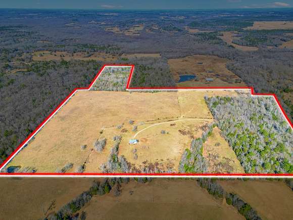 82.2 Acres of Land for Sale in Ben Wheeler, Texas