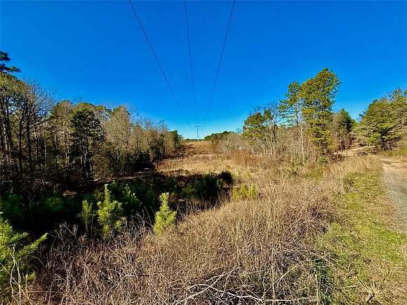 0.416 Acres of Residential Land for Sale in Harleton, Texas