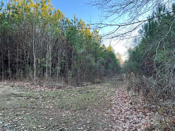 4.4 Acres of Land for Auction in Gadsden, Alabama