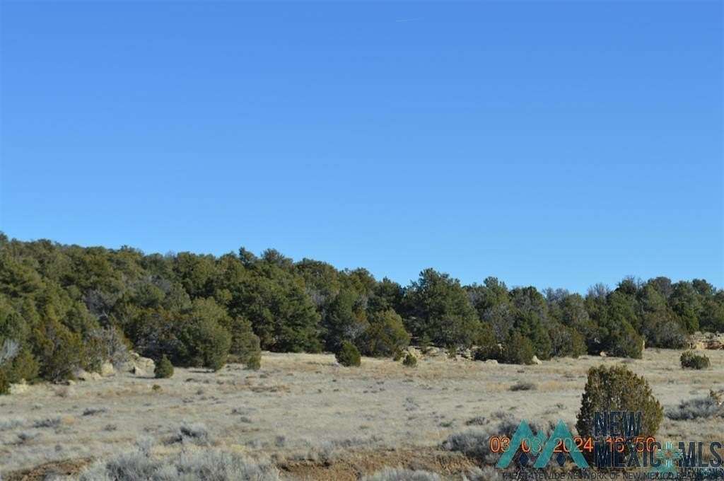 40 Acres of Recreational Land for Sale in Pinehill, New Mexico
