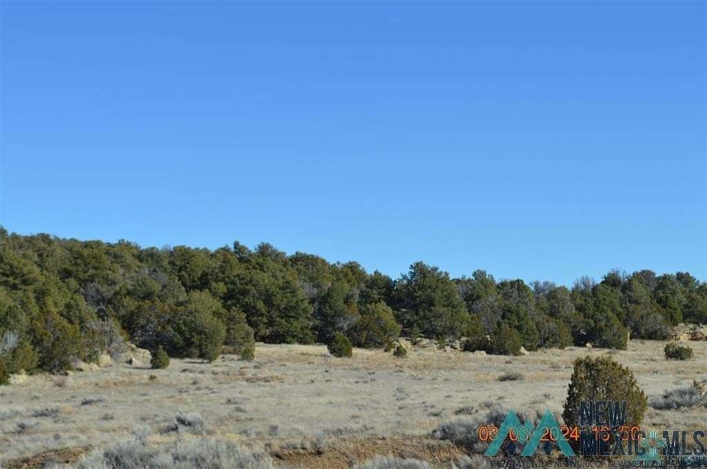 40 Acres of Recreational Land for Sale in Tinaja, New Mexico