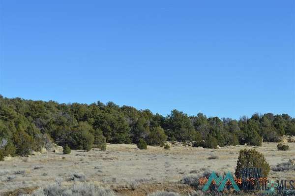 40 Acres of Recreational Land for Sale in Pinehill, New Mexico