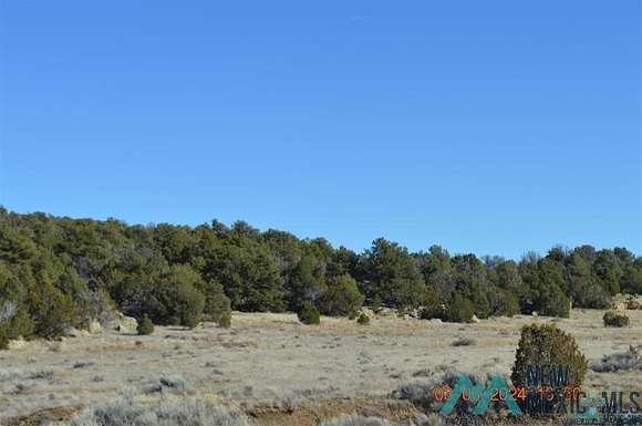 40 Acres of Recreational Land for Sale in Tinaja, New Mexico