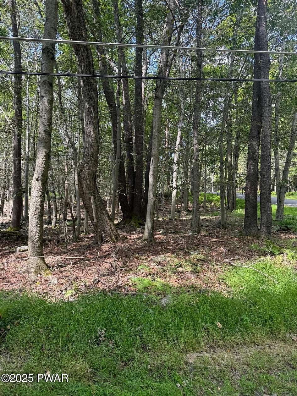 0.29 Acres of Residential Land for Sale in Newfoundland, Pennsylvania