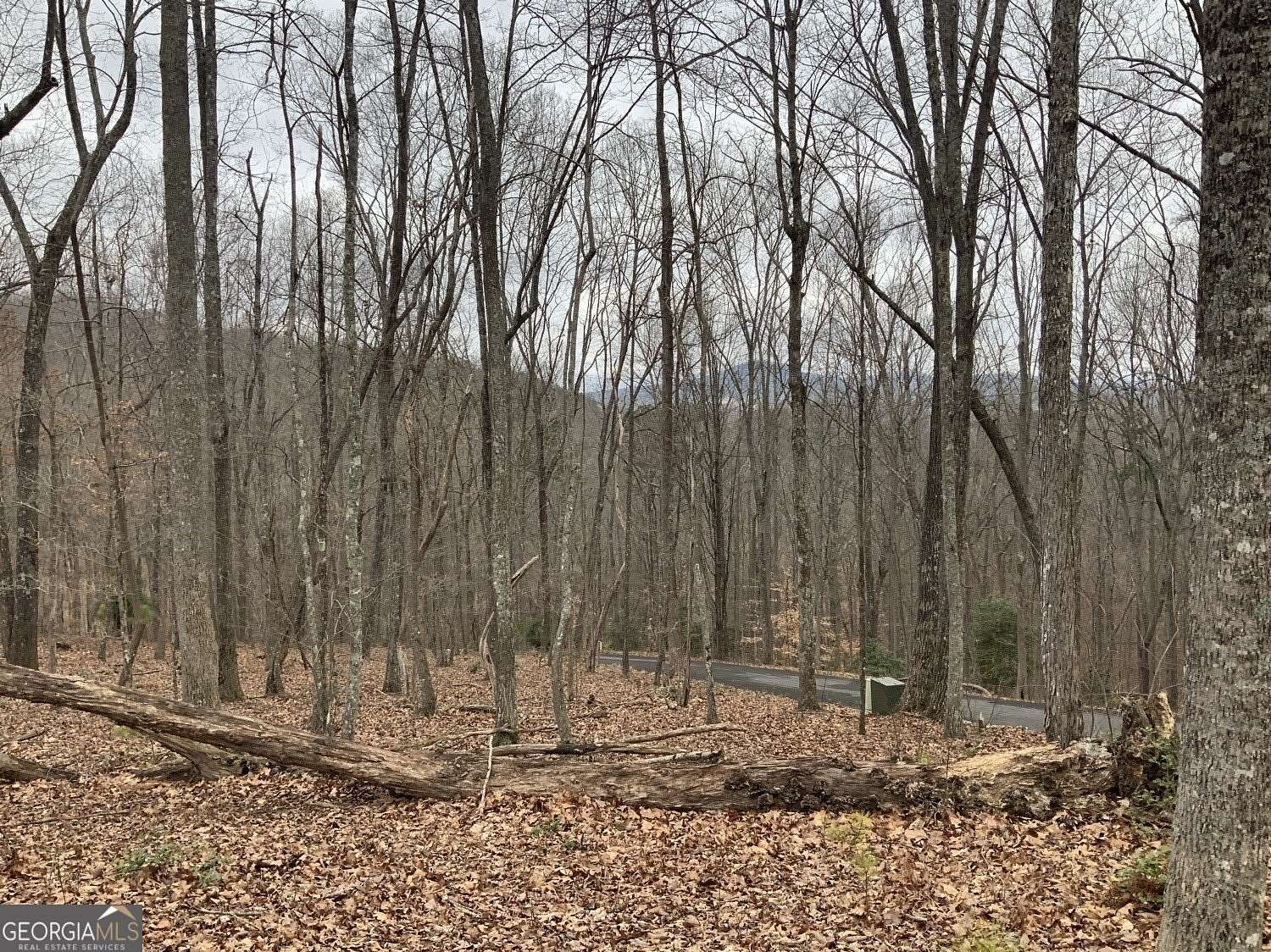 1.23 Acres of Residential Land for Sale in Blairsville, Georgia