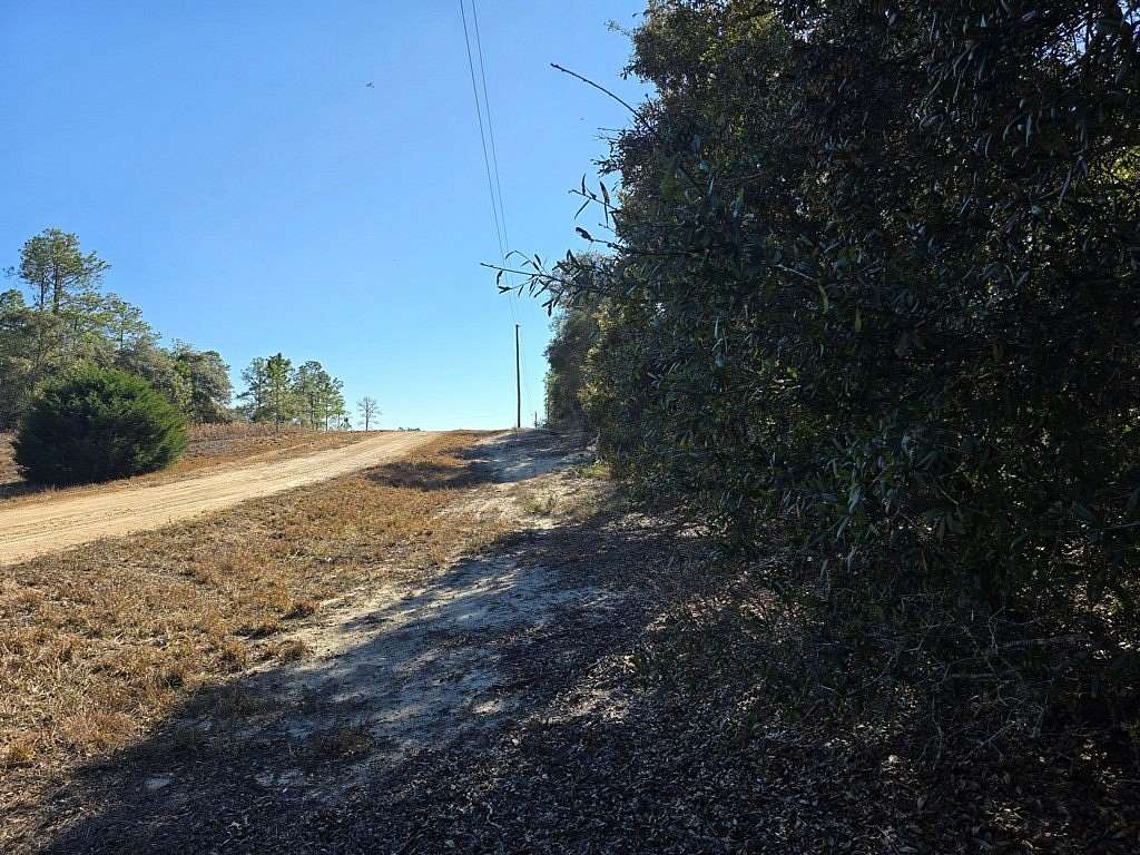 1.25 Acres of Residential Land for Sale in Williston, Florida