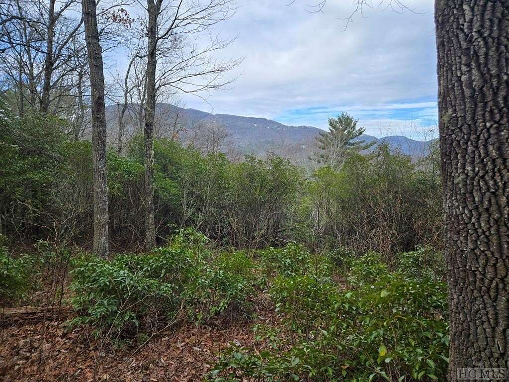 1 Acre of Residential Land for Sale in Lake Toxaway, North Carolina