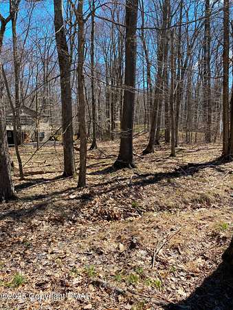 0.38 Acres of Land for Sale in Pocono Lake, Pennsylvania