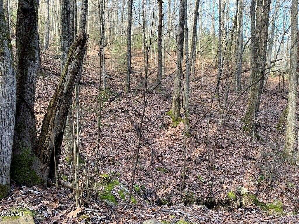 0.78 Acres of Residential Land for Sale in Sevierville, Tennessee