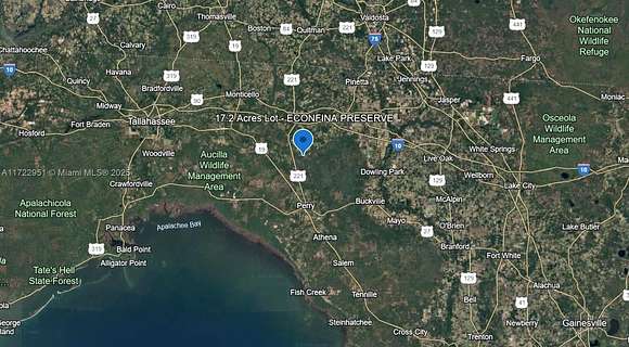 17.2 Acres of Land for Sale in Greenville, Florida