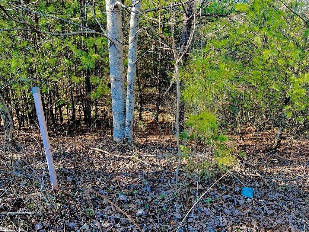 0.21 Acres of Residential Land for Sale in East Ellijay, Georgia