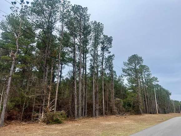 78 Acres of Recreational Land for Sale in Laurel, Mississippi