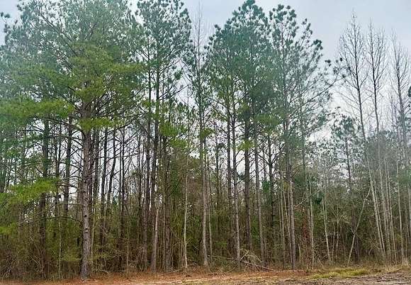 40 Acres of Land for Sale in Laurel, Mississippi