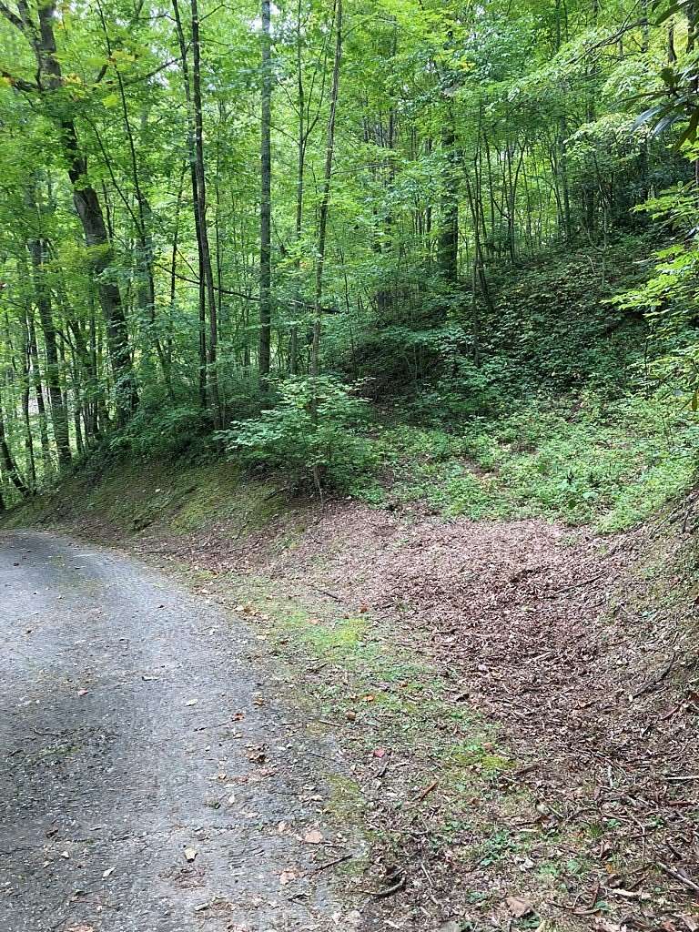 0.59 Acres of Residential Land for Sale in Whittier, North Carolina