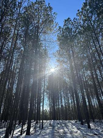 0.93 Acres of Residential Land for Sale in Jasper, Tennessee