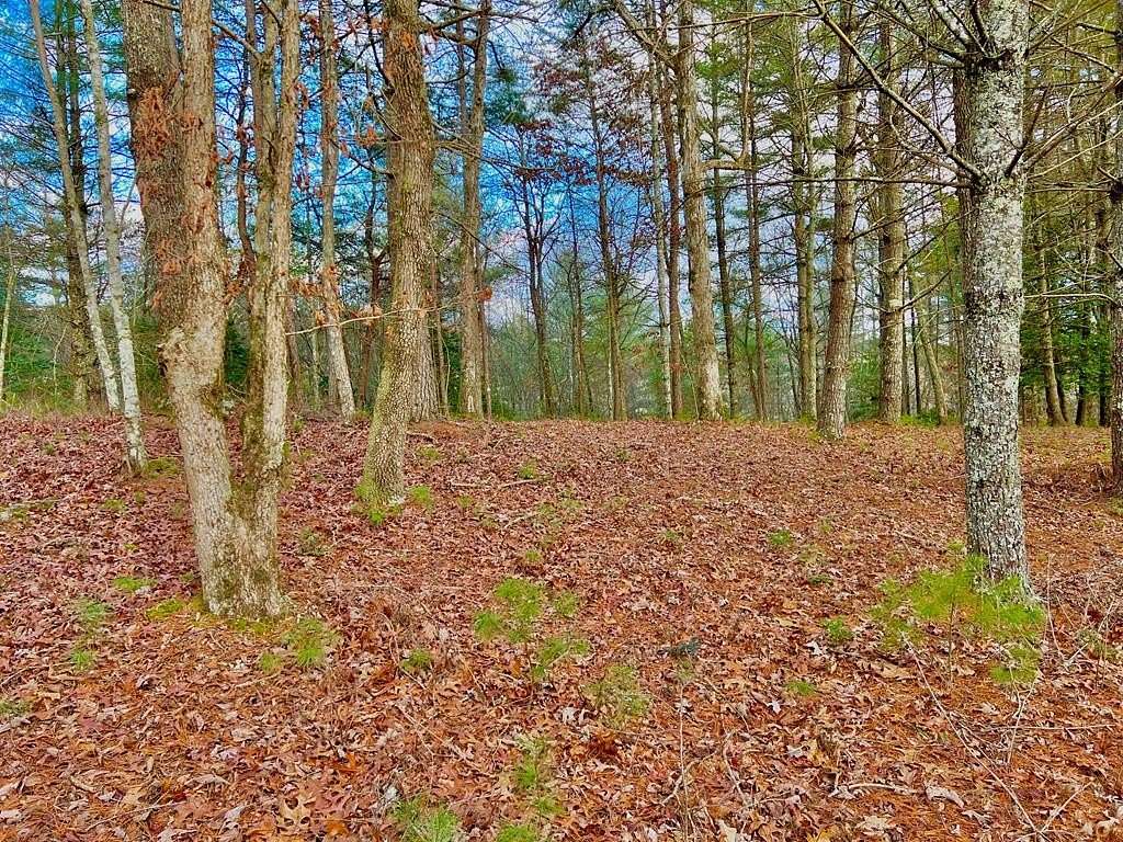 1.02 Acres of Residential Land for Sale in Morganton, Georgia