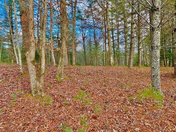 1 Acre of Residential Land for Sale in Morganton, Georgia
