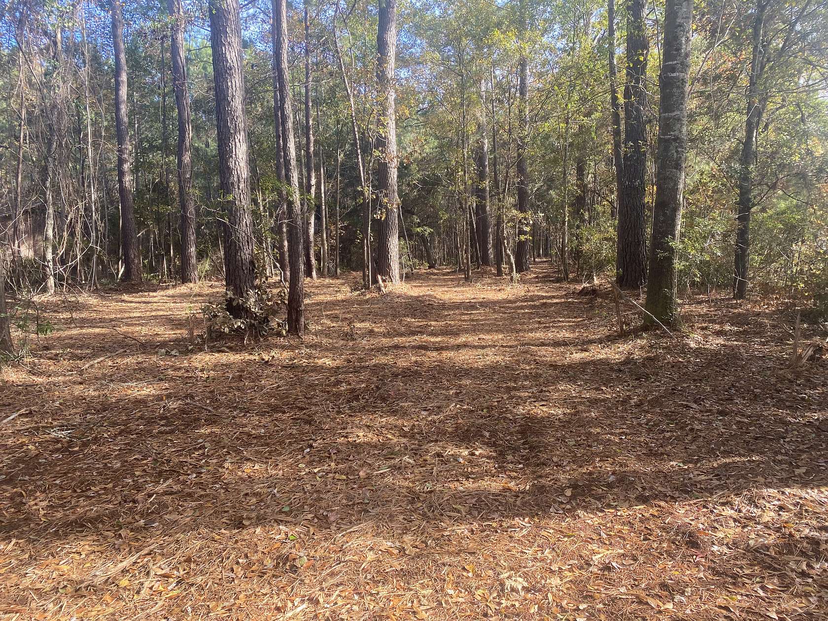 2.28 Acres of Residential Land for Sale in McClellanville, South Carolina