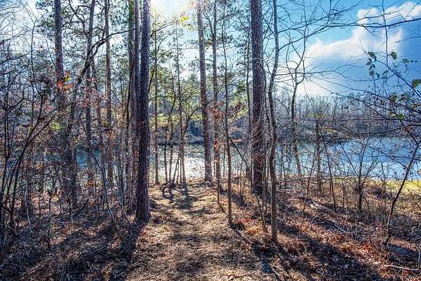 0.73 Acres of Land for Sale in Sparta, Georgia