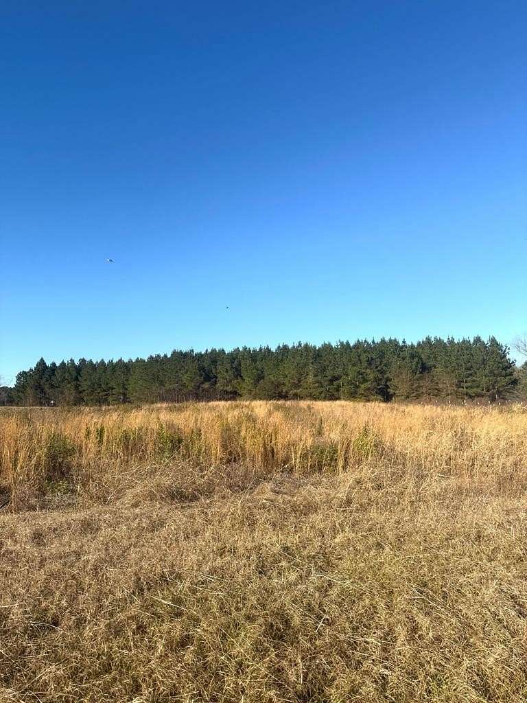 110 Acres of Land for Sale in Brundidge, Alabama