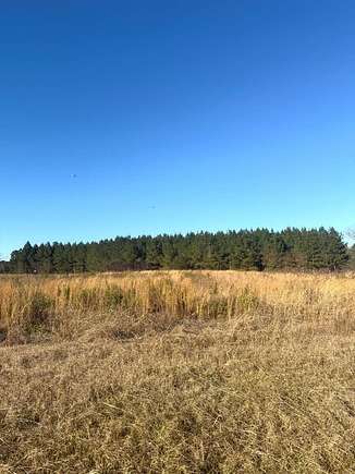 110 Acres of Land for Sale in Brundidge, Alabama