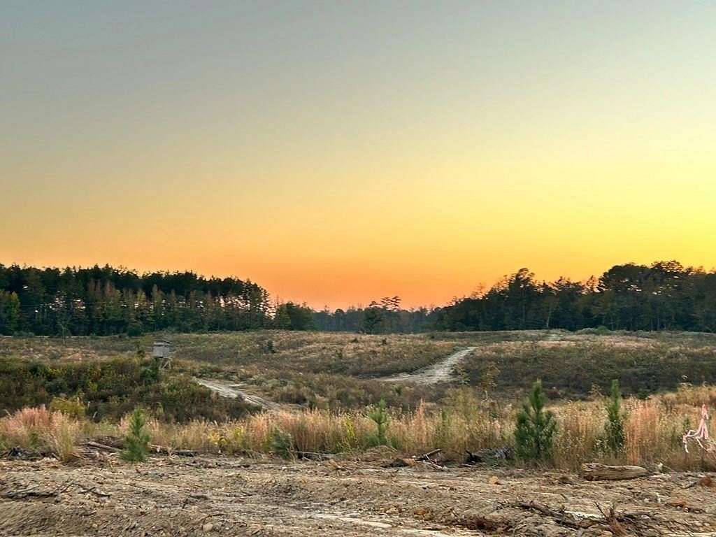 8.02 Acres of Residential Land for Sale in Liberty, Mississippi