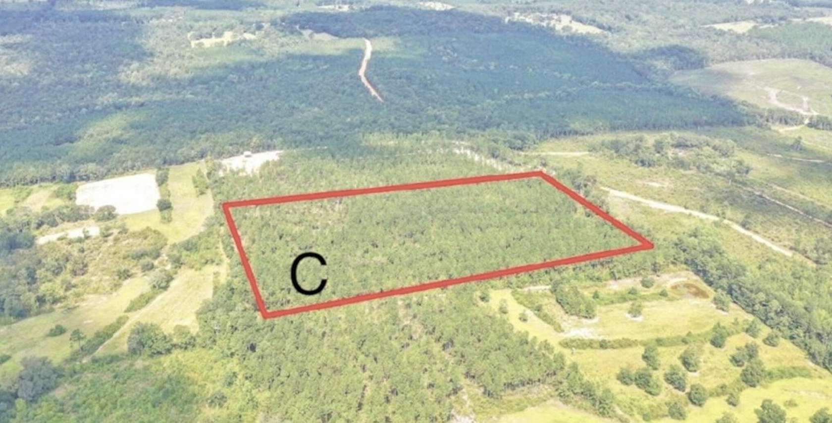 20 Acres of Recreational Land for Sale in Ponce de Leon, Florida