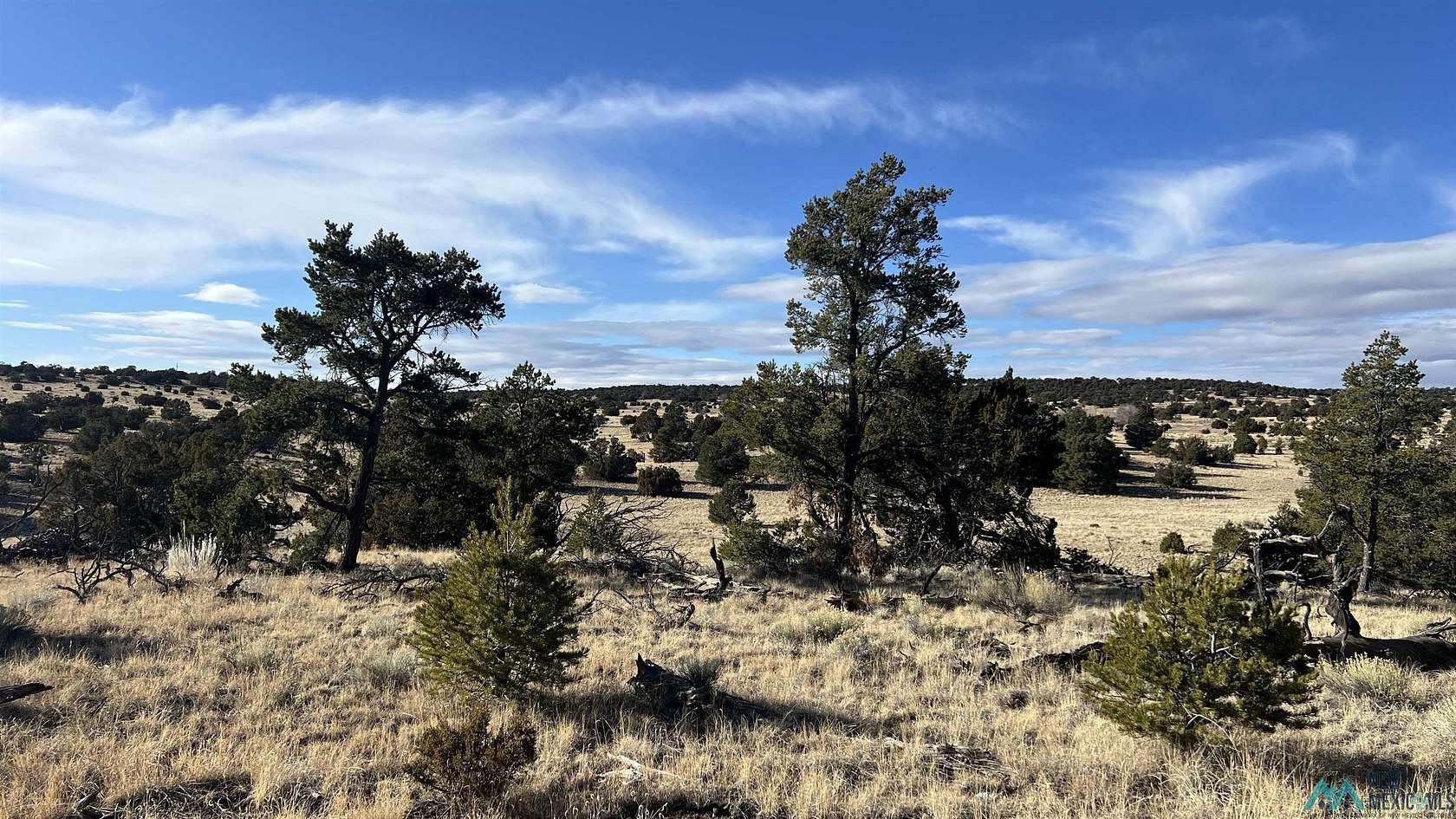 12.22 Acres of Land for Sale in Quemado, New Mexico