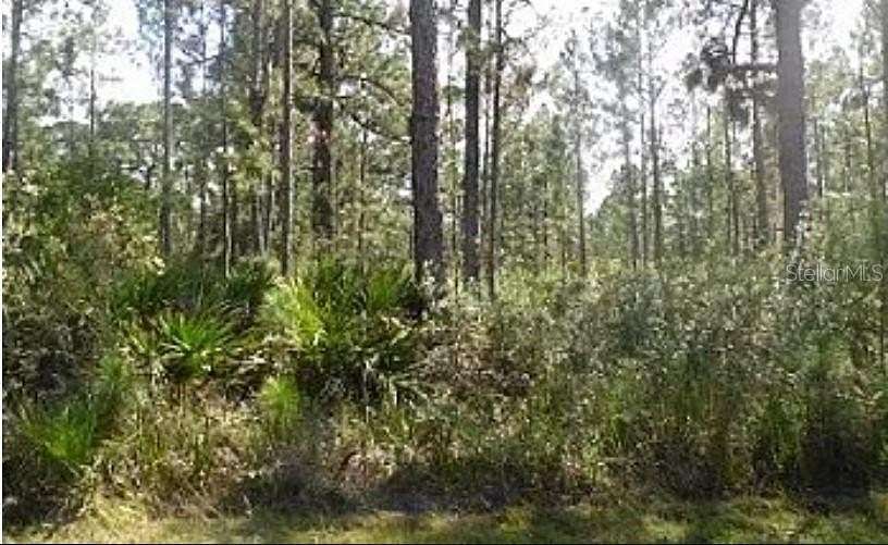 1.26 Acres of Land for Sale in Lake Wales, Florida