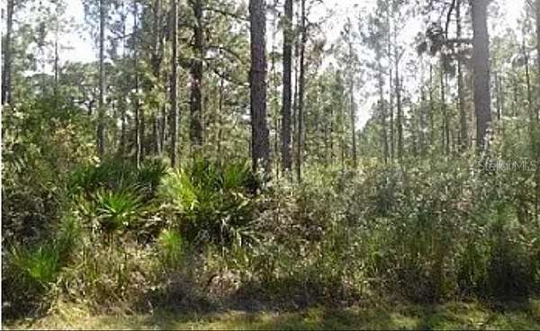 1.26 Acres of Land for Sale in Lake Wales, Florida