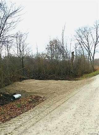 10.3 Acres of Recreational Land for Sale in Ira Township, Michigan ...