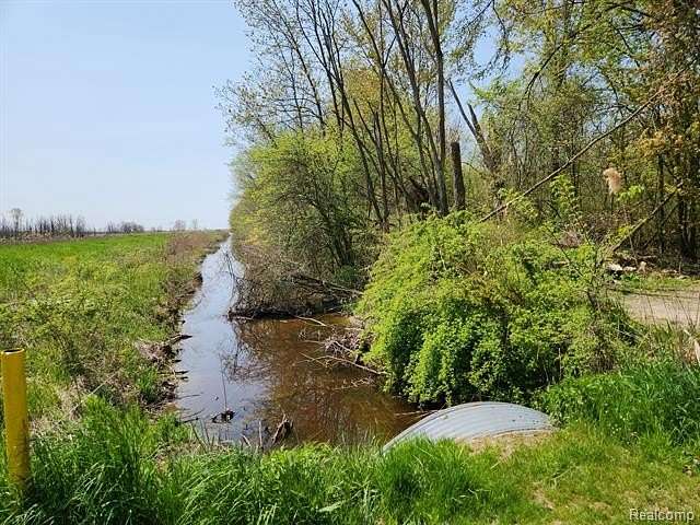 10.29 Acres of Recreational Land for Sale in Ira Township, Michigan