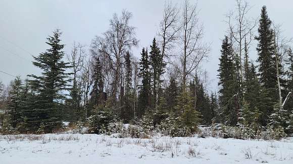 0.3 Acres of Residential Land for Sale in Kenai, Alaska