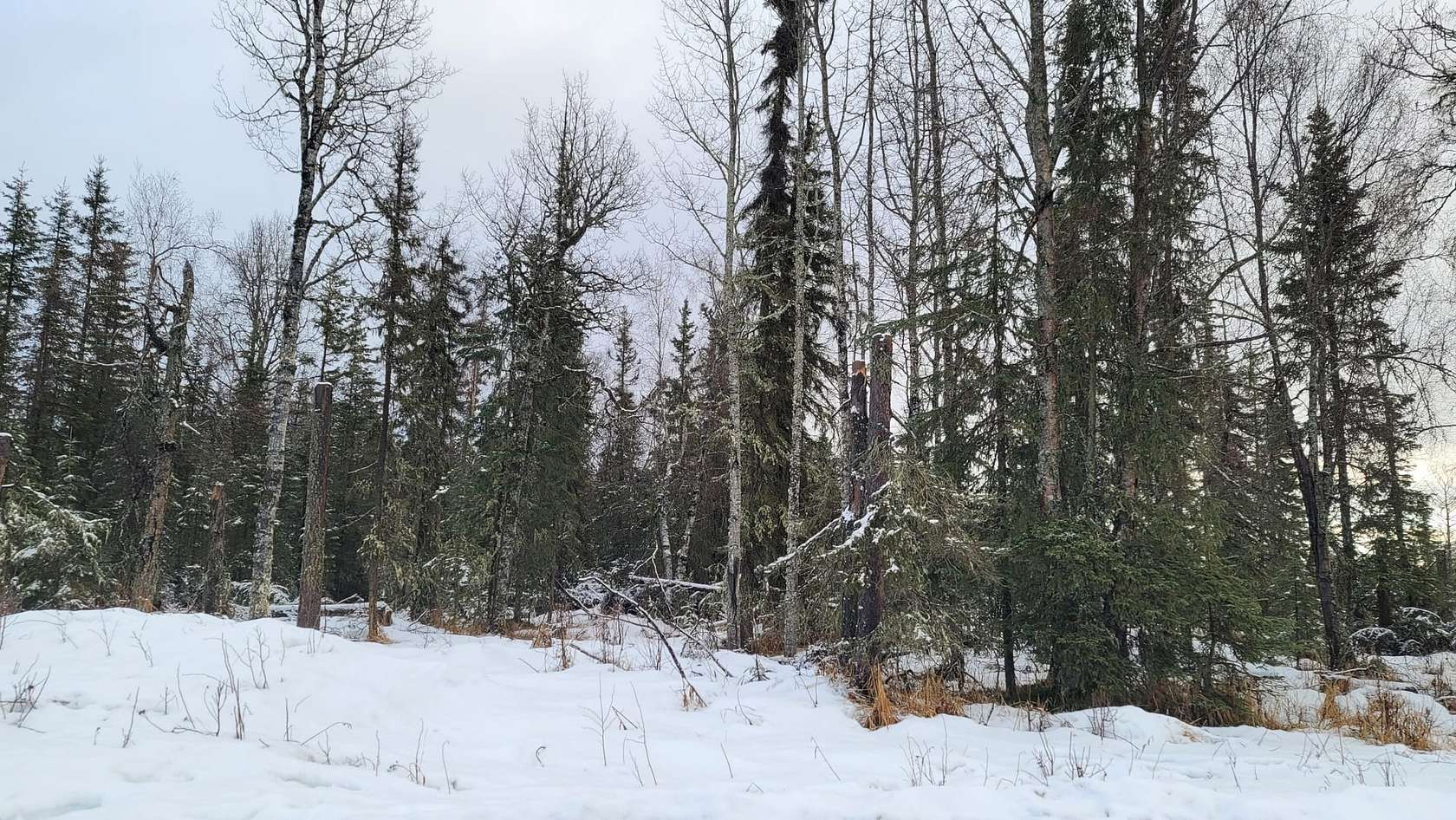 0.3 Acres of Land for Sale in Kenai, Alaska