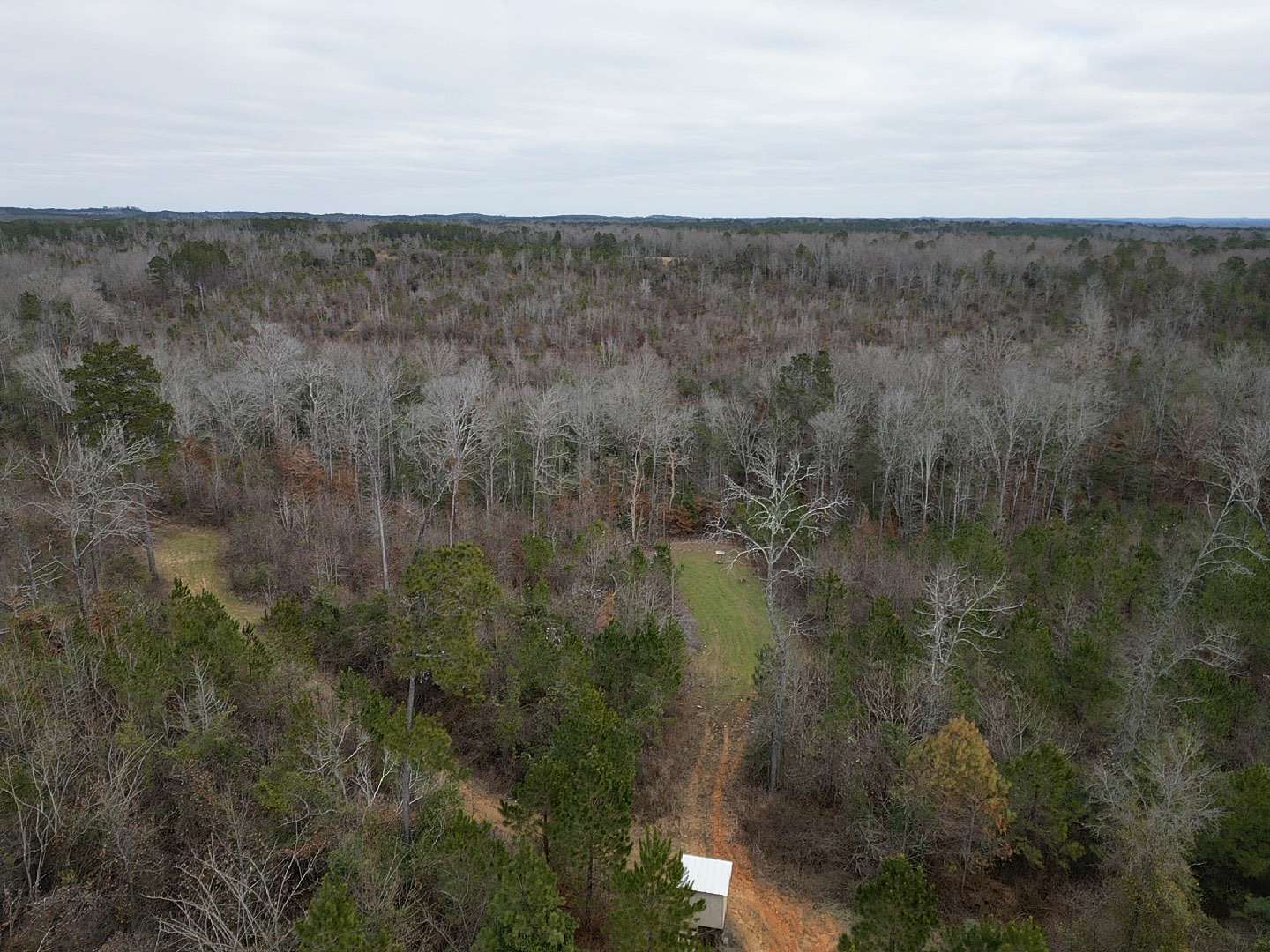 82 Acres of Recreational Land for Sale in Gordo, Alabama