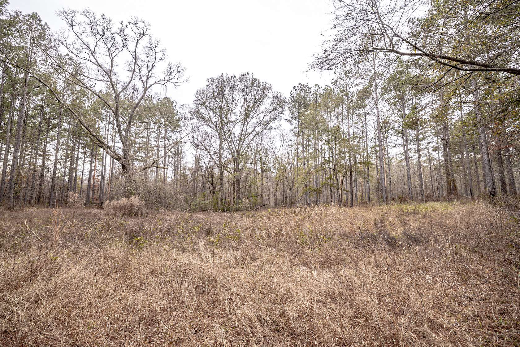 247 Acres of Recreational Land for Sale in Liberty, Mississippi